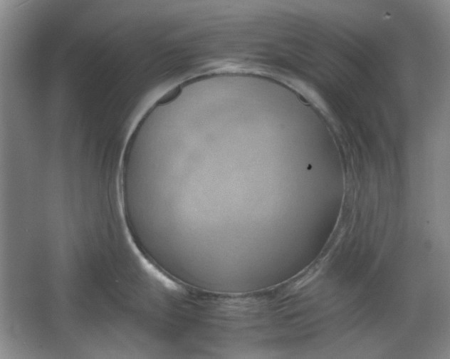 X0000064041247200602101416