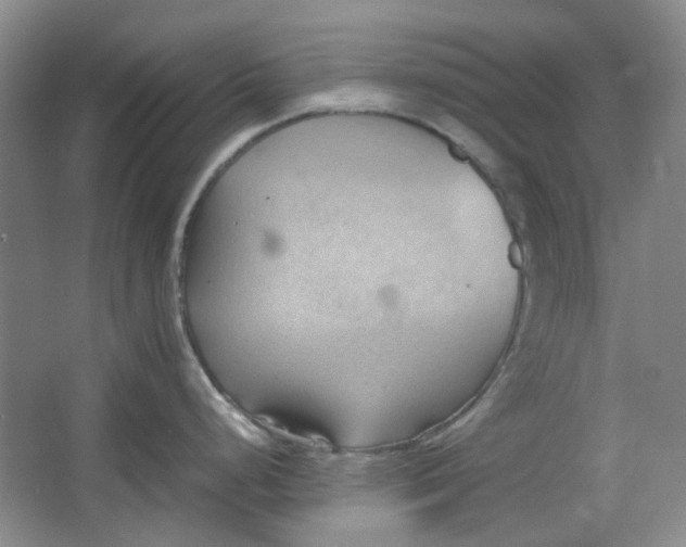 X0000064041248200602101416