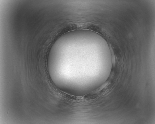 X0000064041249200602101415