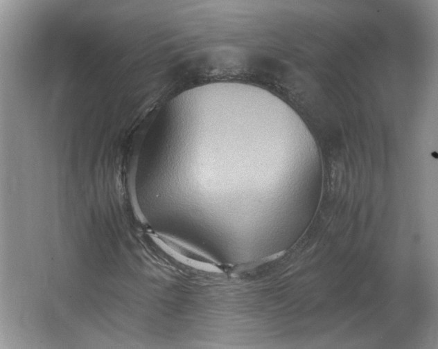 X0000064041250200602101415