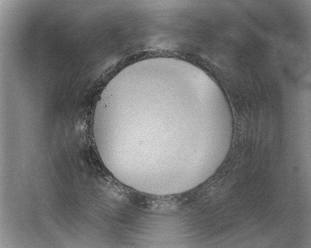 X0000064041254200602101415