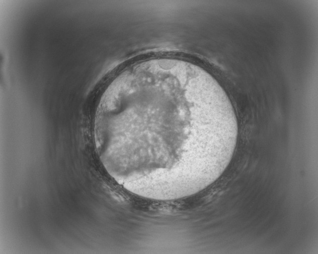 X0000064041255200602101415