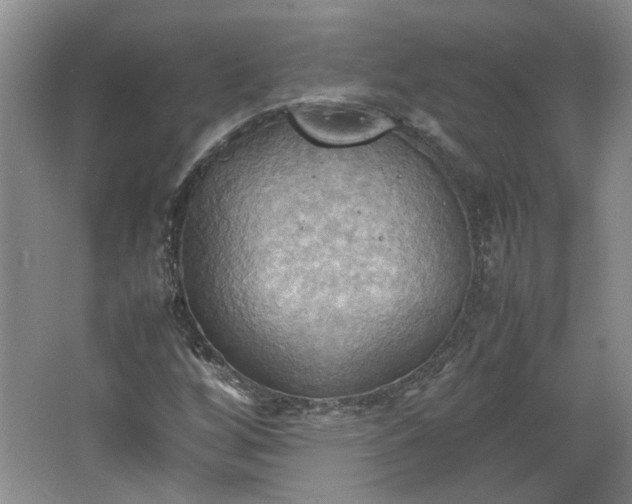 X0000064041256200602101415