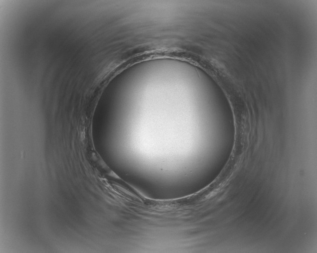 X0000064041257200602101415