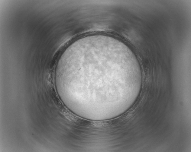 X0000064041258200602101415