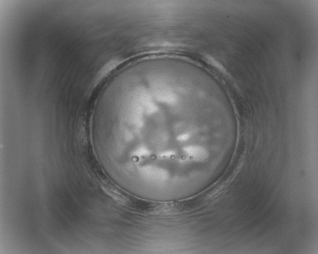 X0000064041259200602101415