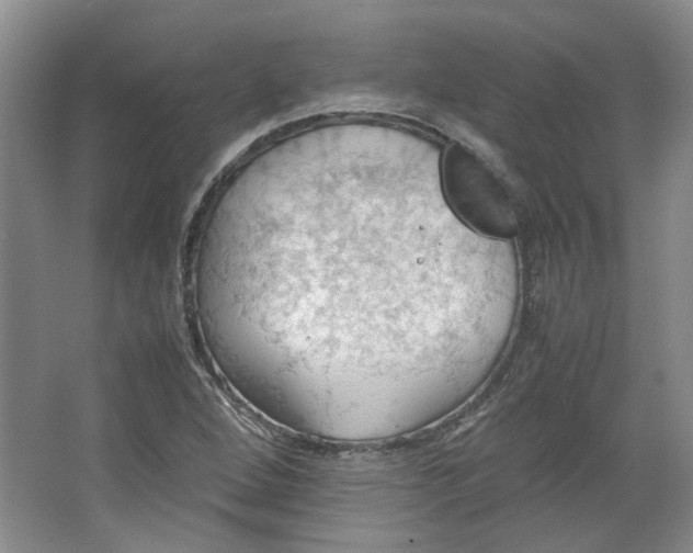 X0000064041264200602101415