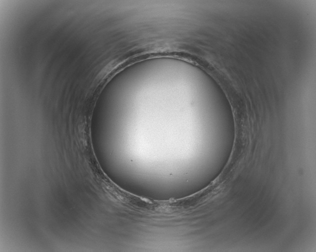 X0000064041265200602101415