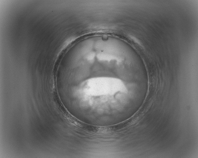 X0000064041267200602101415