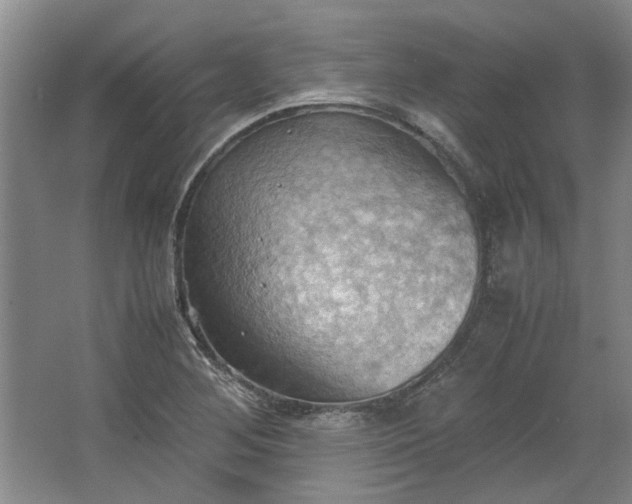 X0000064041268200602101415