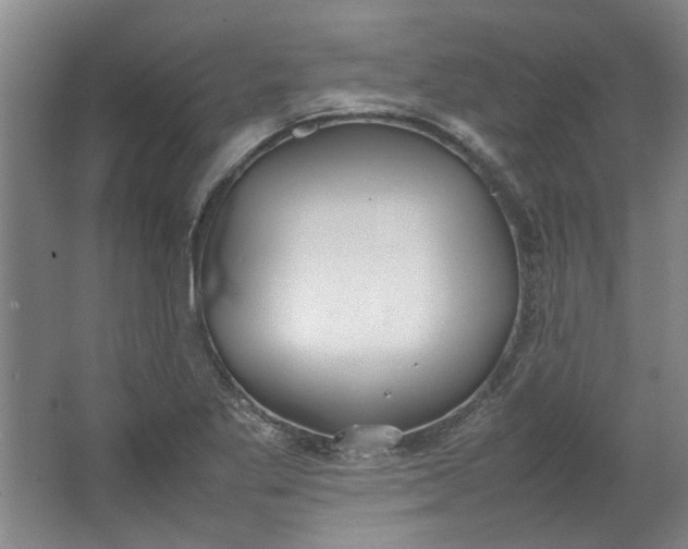 X0000064041269200602101415