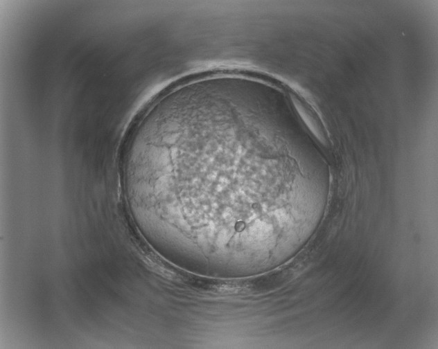 X0000064041271200602101415