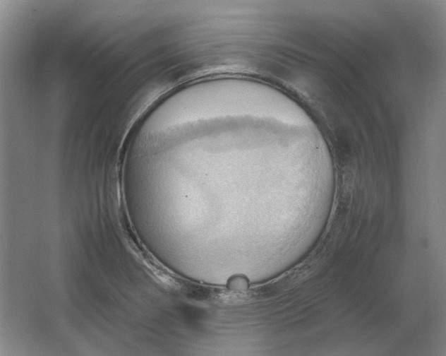 X0000064041274200602101415