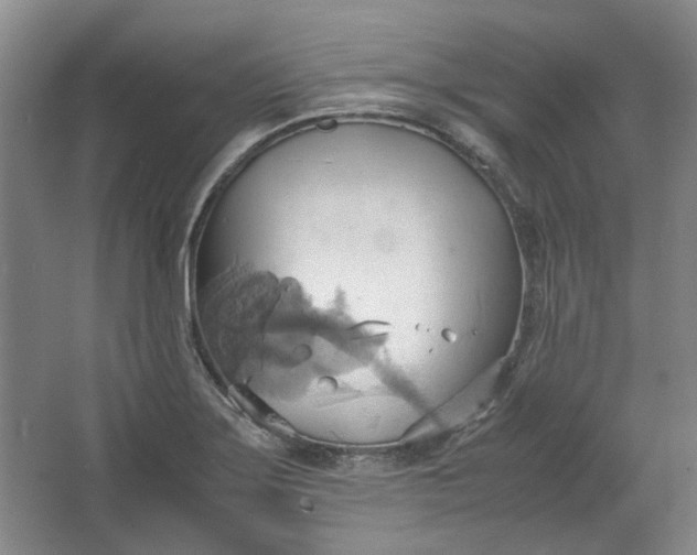 X0000064041275200602101415