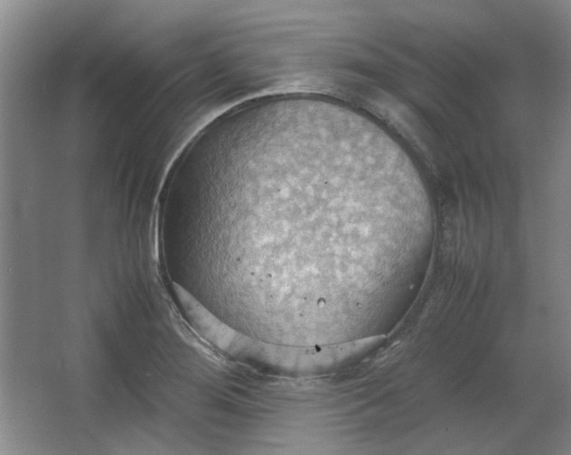 X0000064041276200602101415