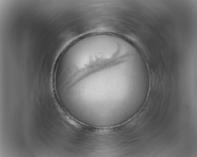 X0000064041278200602101415