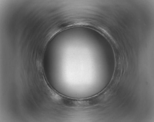 X0000064041281200602101415