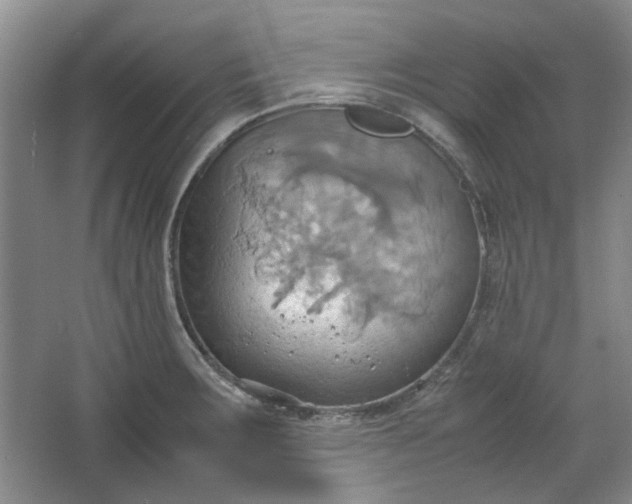 X0000064041283200602101415