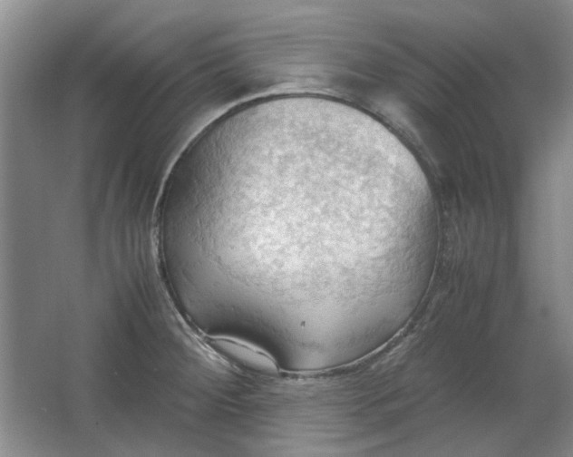 X0000064041284200602101415