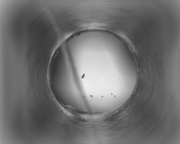 X0000064041285200602101415