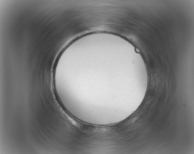 X0000064041286200602101415