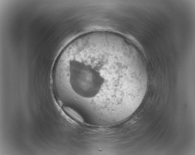 X0000064041287200602101415