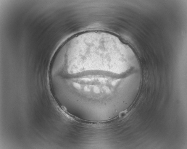 X0000064041288200602101415