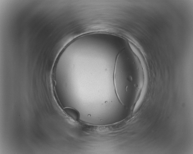 X0000064041291200602101415