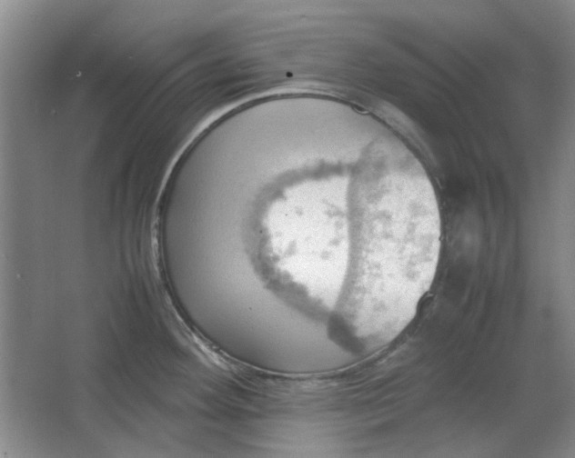 X0000064041292200602101415