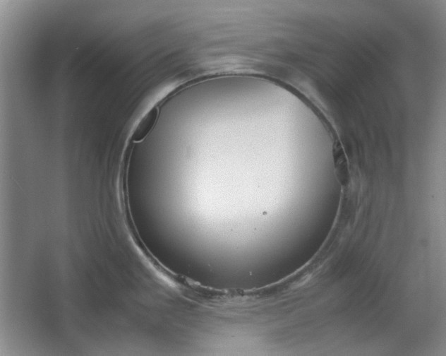 X0000064041293200602101415