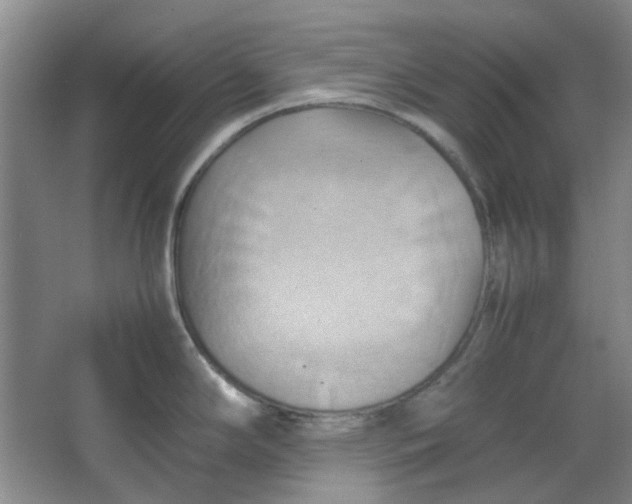 X0000064041294200602101415