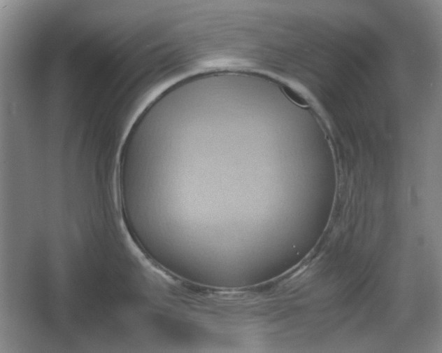 X0000064041295200602101415