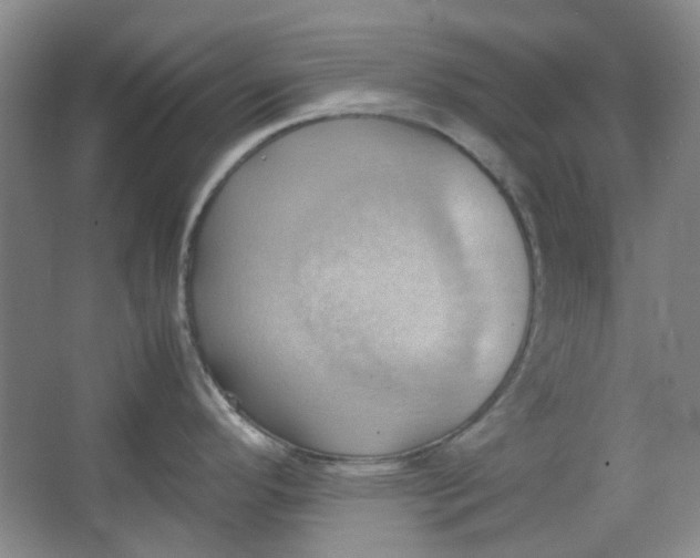 X0000064041296200602101415