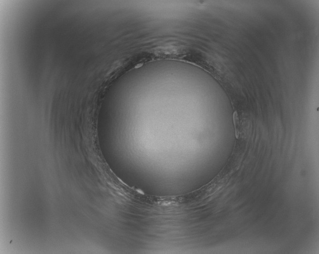 X0000064041297200602101414