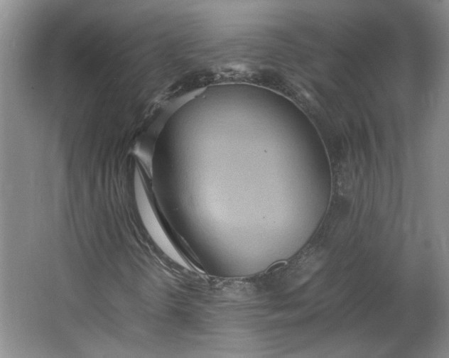 X0000064041298200602101414