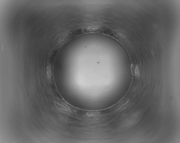 X0000064041299200602101414