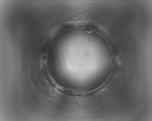 X0000064041300200602101414