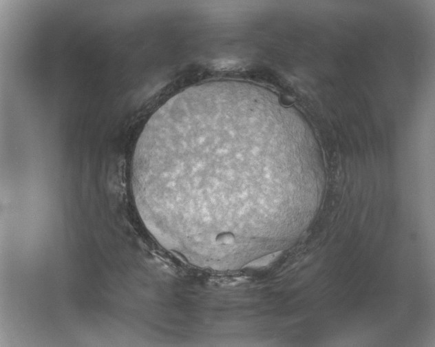 X0000064041301200602101414