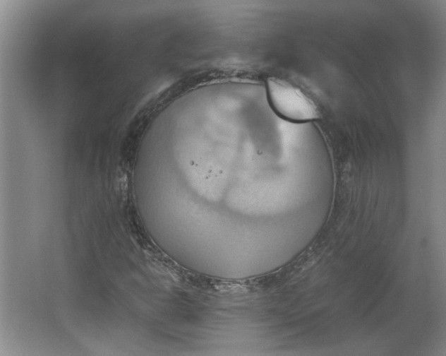 X0000064041302200602101414