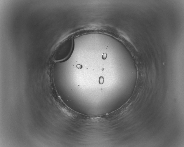 X0000064041304200602101414