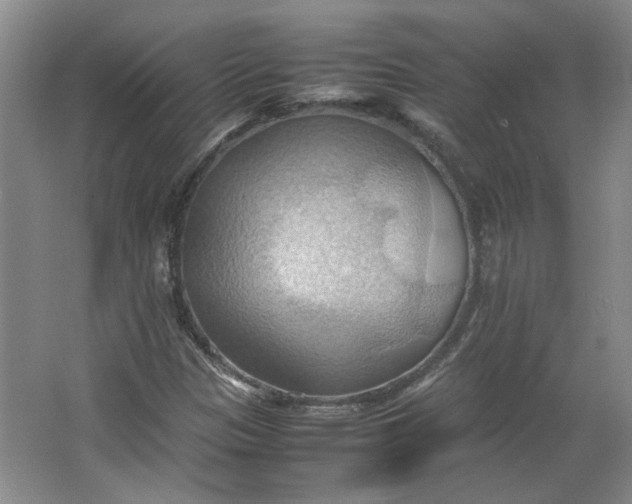 X0000064041305200602101414