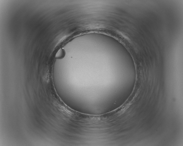 X0000064041306200602101414