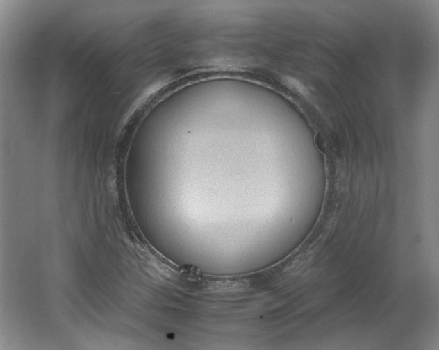 X0000064041307200602101414