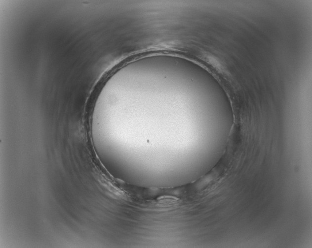 X0000064041308200602101414