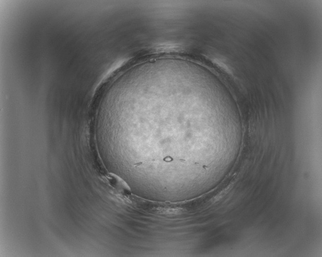 X0000064041309200602101414