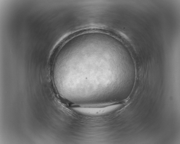 X0000064041310200602101414