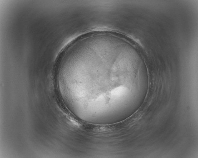 X0000064041311200602101414