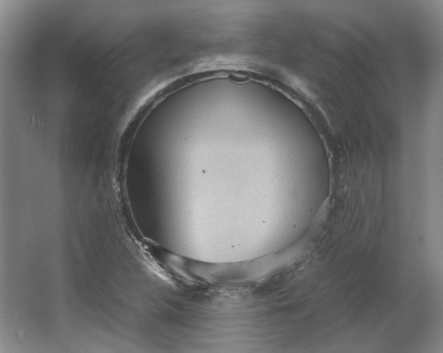 X0000064041312200602101414