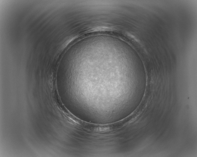 X0000064041313200602101414