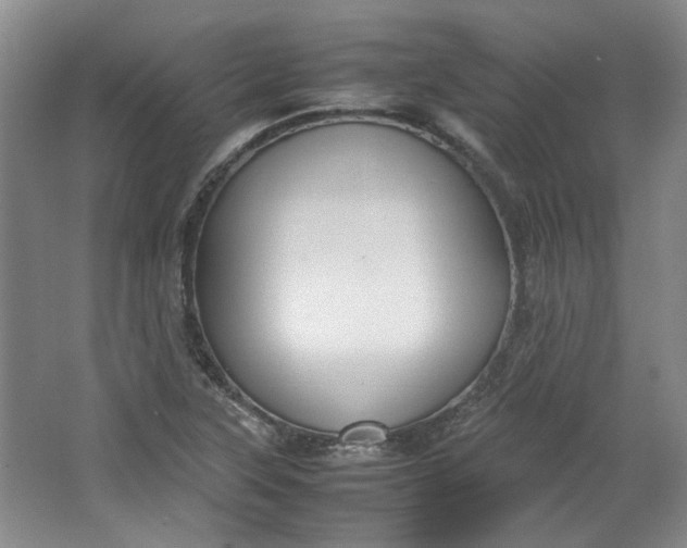 X0000064041315200602101414